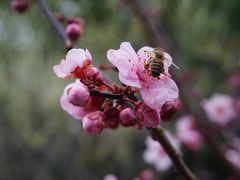 -静安雕塑公园
