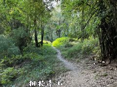 -南山植物园