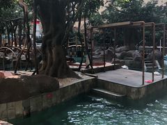 -青岛海泉湾度假区温泉