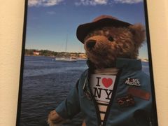 -济州岛泰迪熊博物馆