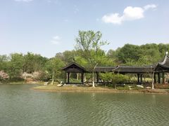 -镇江市南山风景名胜区竹林景区