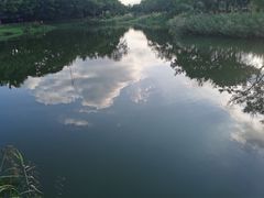 -福田红树林生态公园