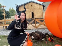 -HERRE·FARM 赫尔露营农场·团建聚会包场