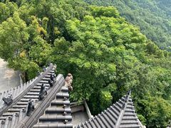 -杭州半山国家森林公园