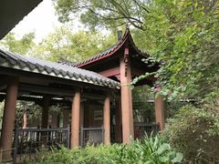 -水濂山森林公园