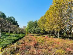 -白塘生态植物园