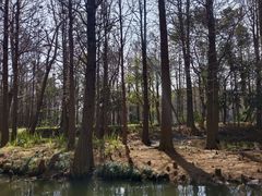 -尚湖风景区