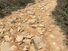 -梧桐山风景名胜区