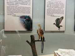 -辽宁古生物博物馆