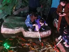 -泉城欧乐堡海洋极地世界