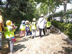 -能量小象·感统·专注力·语言(崂山校区)
