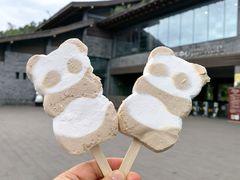 -都江堰中华大熊猫苑