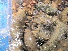 -徐记海鲜(大雁塔|金都店)