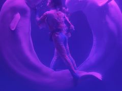-大连圣亚海洋世界