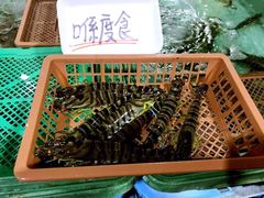 -海鮮寿司とれとれ市場
