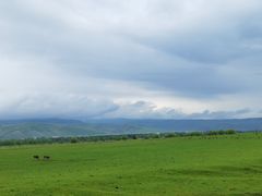 -新疆那拉提国家旅游度假区
