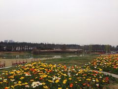 秀丽东方-秀丽东方