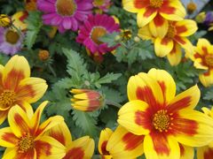 -上海不夜城广场(上海不夜城金融大厦店)