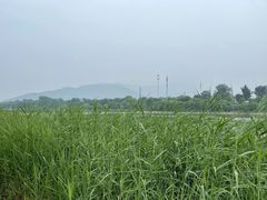 -门城湖公园