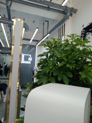 -IN HAIR艺术+造型