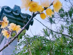 -东台西溪天仙缘景区