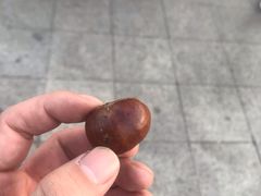 -秋栗香(地安门店)