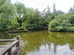 -秋霞圃