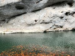 -楠溪江风景名胜区