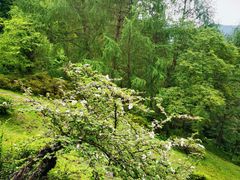-硗碛藏寨·神木垒景区