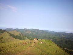 -大姆山草场