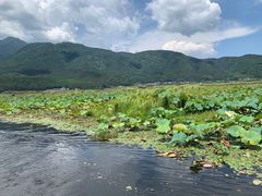 -腾冲北海湿地