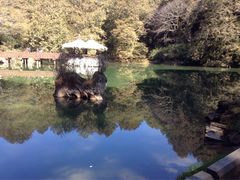 -阿里山神木遗迹