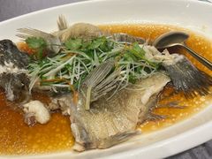 -骏莱海鲜鱼港(五角场店)