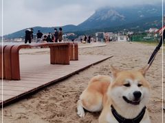 -仰口沙滩