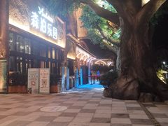 -杭州开元森泊度假乐园