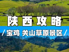 -关山草原