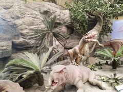 -国家自然博物馆