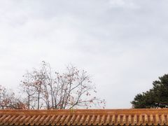 -清西陵