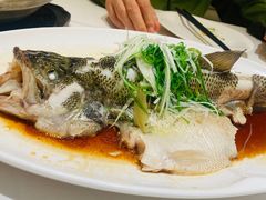 -茉里粤菜(皇姑万象汇店)