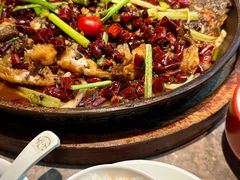 -老板恋上鱼(恒隆广场店)