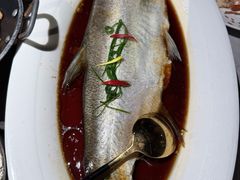 -醉庐·新上海菜(南京西路店)