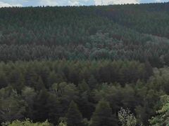 -塞罕坝国家级自然保护区