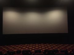 放映厅-AMG海上明珠影城(上海环球港RealDCinema店)