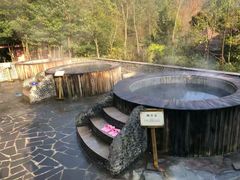 -中铁花水湾温泉酒店(大邑店)