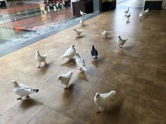 -王府井奥莱临潼小镇(临潼店)