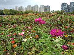 -白塘生态植物园