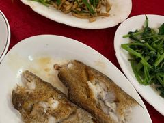 -蛇口康乐快餐鱼仔档(翠苑小区店)