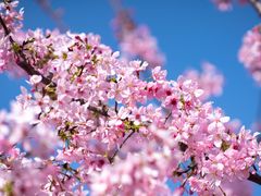 -福建鲤鱼洲酒店