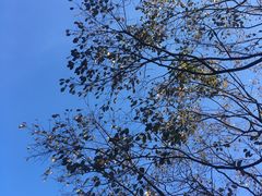-四会奇石河风景区