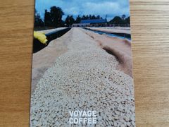 -VOYAGE COFFEE(杨梅竹店)